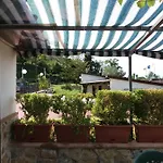 Mola 4*